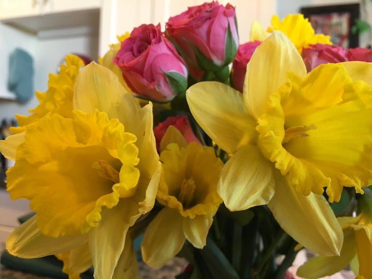 The 25th Newport Flower Show has been postponed until June 2021. 