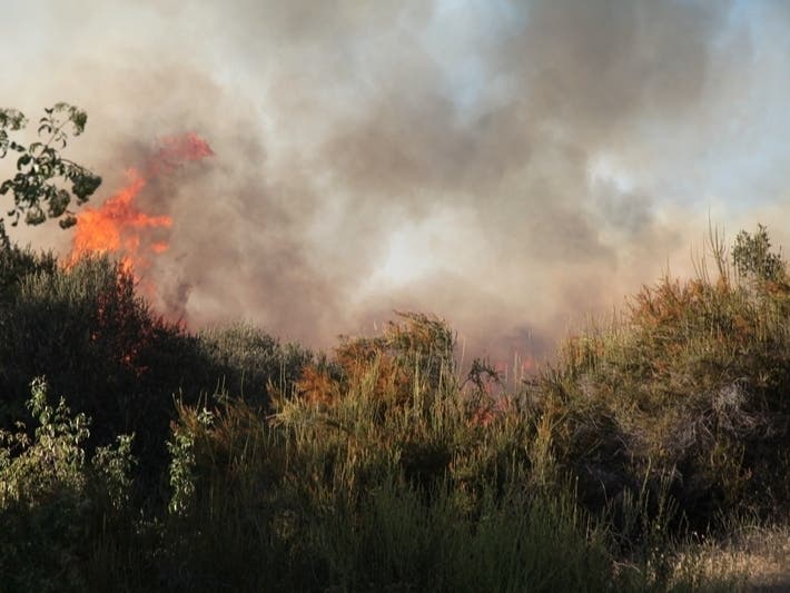 The heavy smoke raised fine particle concentrations to unhealthy levels, the Department of Environmental Management said. Moderate concentrations are expected Wednesday. 