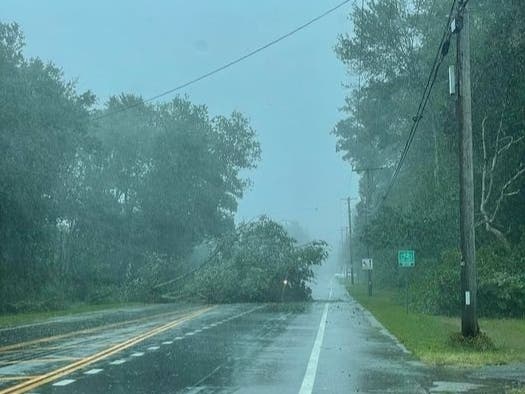 A downed tree blocked a portion of South County Trail during the height of the storm. 
