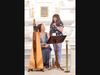 Fran Griffin, Founder of the Irish American Society, introduces harpist (Photo Credit: David Schofield)