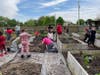 Spring planting season begins with Head Gardener Pete Supron, daughter Catherine and the ever-talented and industrious  Run The Racers.  Sponsored by the Brian Muha Memorial Foundation. 
