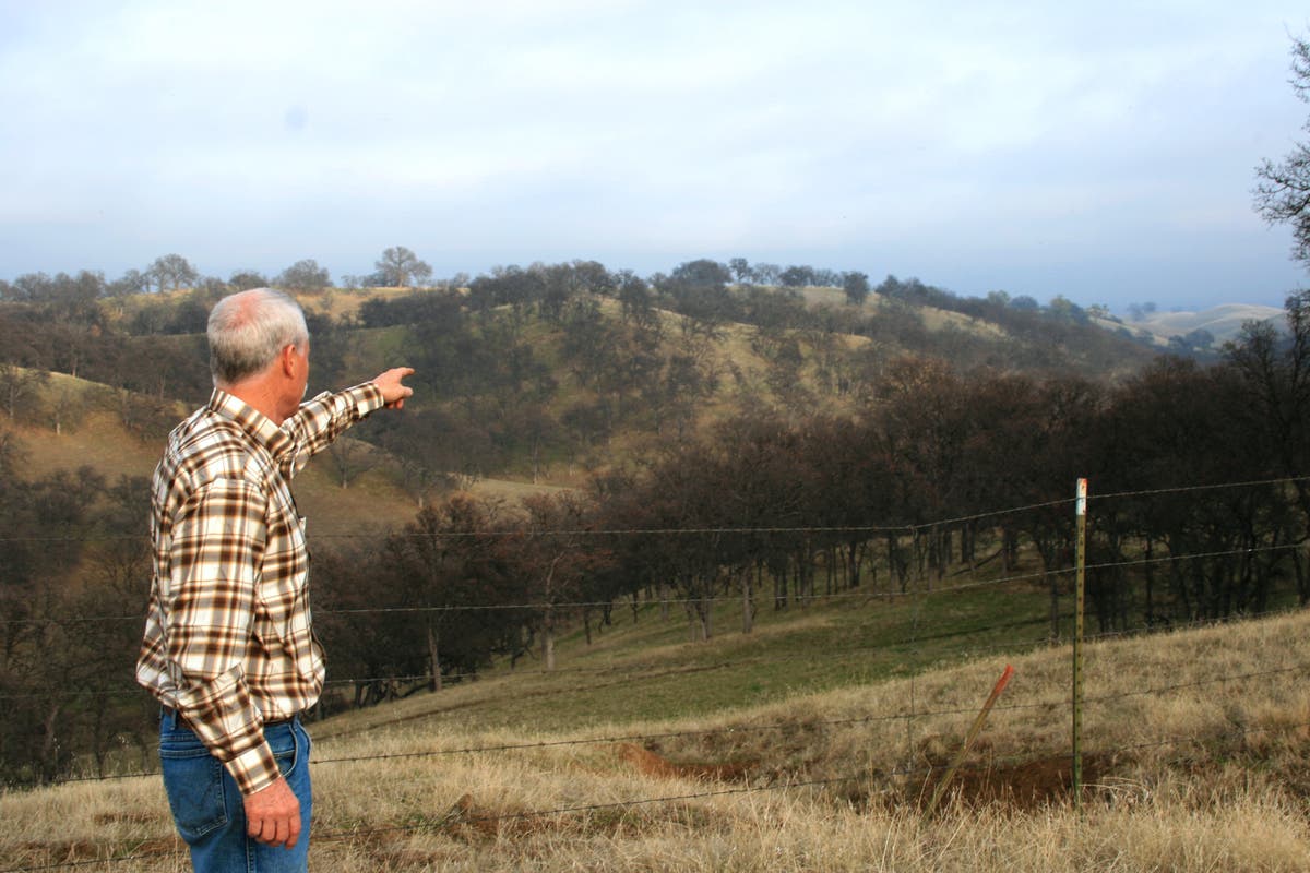 Rominger Brothers Farms: A Model of Sustainability & Stewardship ...