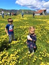 The next generation playing in the field of wildflowers