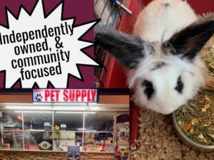 Amwell Pet Supply