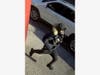 Three thieves attempted to mug a man's cell phone Wed., March 6, police said.