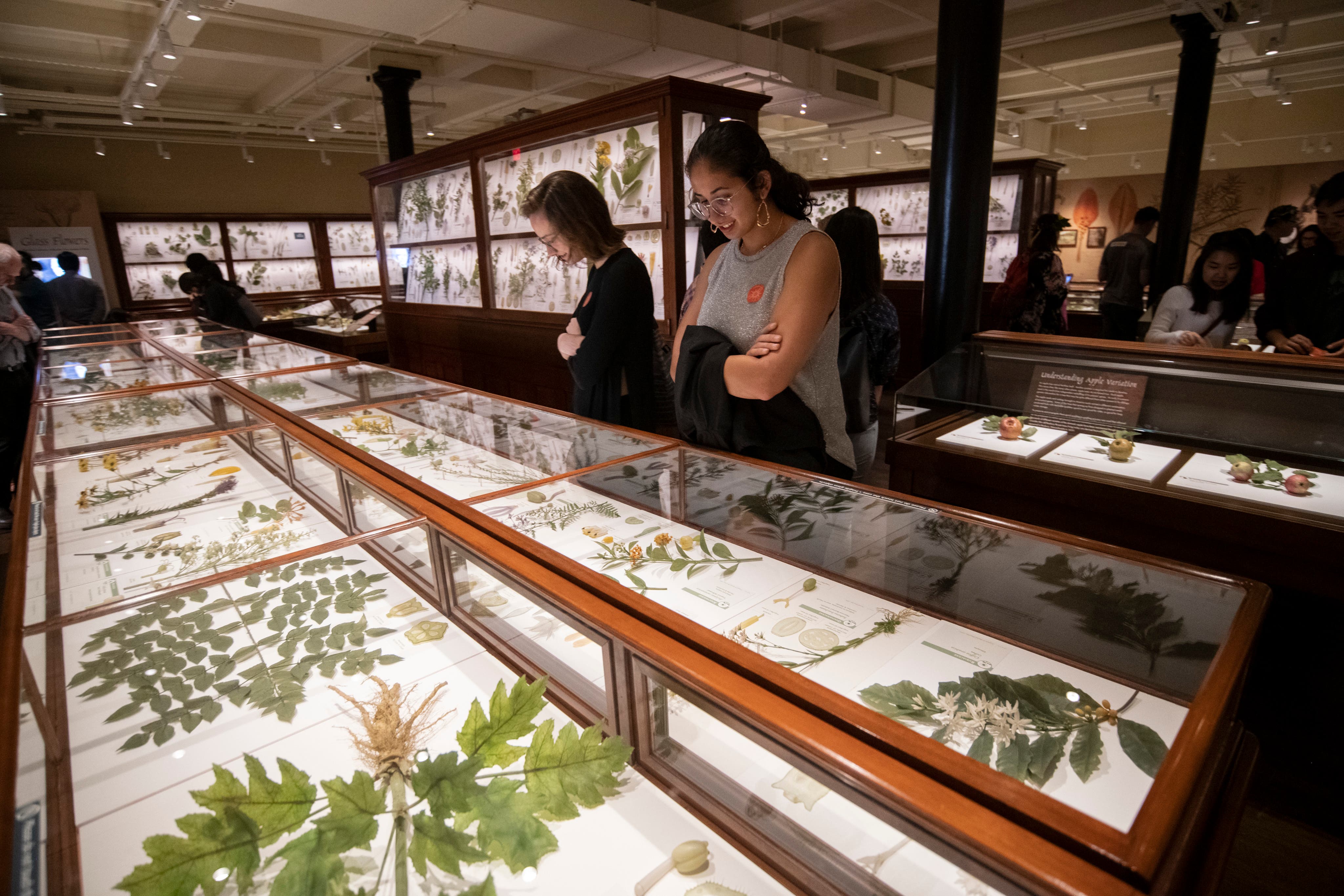 ArtsThursdays: Botanical Wonders