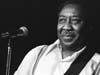 Muddy Waters At Harry Hopes