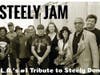 STEELY JAM
