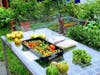 Food is Free Project of Tacoma - 6515 Tacoma Ave S.