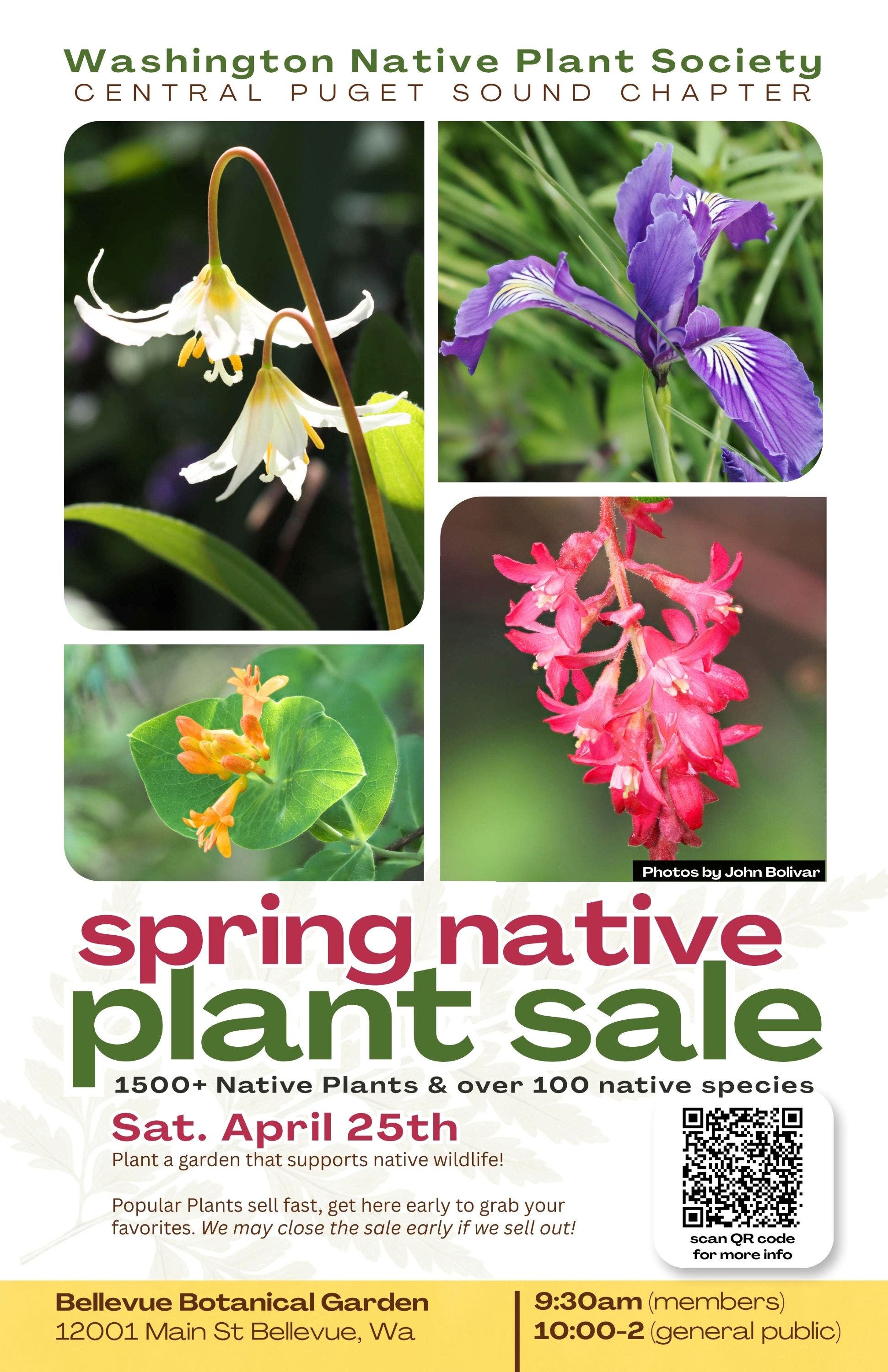 Spring Native Plant Sale