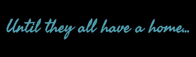 To Love a Canine Rescue, Inc.