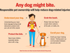 Each year, millions of people are bitten or attacked by dogs, however, these incidents can often be prevented.