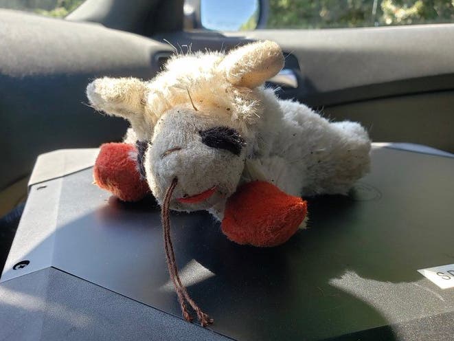 State Police are looking for the owner of this stuffed little lamb found against the barrier on the southbound side of the Everett Turnpike in Merrimack.