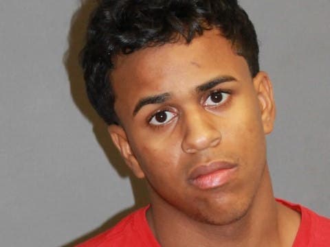 Nashua Polie have charged Jan Garcia, 18, with domestic assault and endangering the welfare of a child.