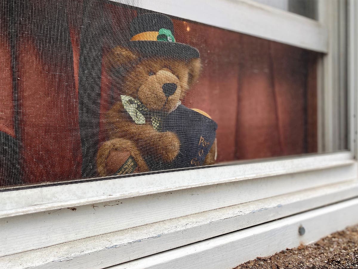 Sharon families with young children are invited to look around town for bears placed in windows while practicing social distancing.