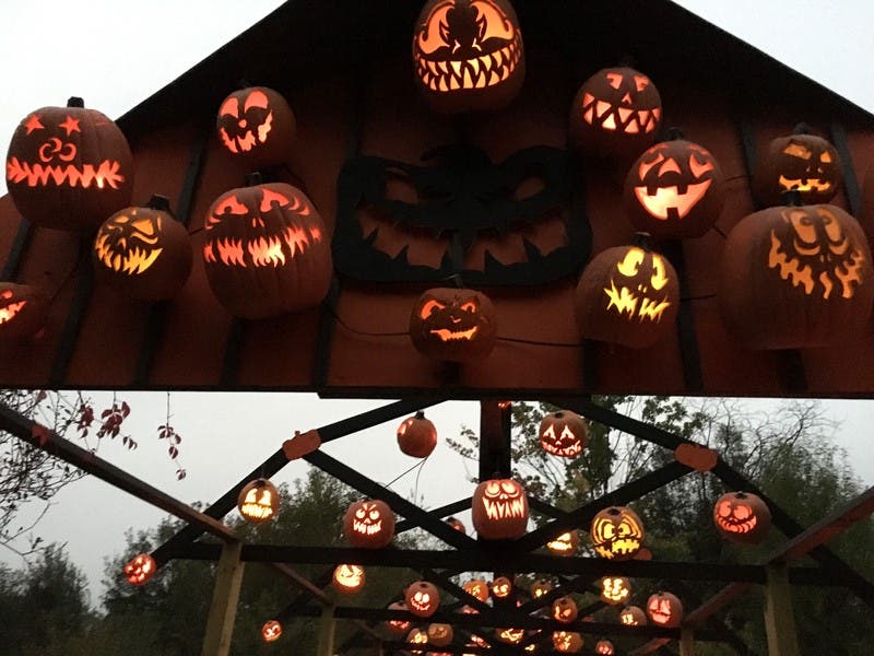 Send us your best pumpkin shots to publish alongside other Beverly holiday displays.