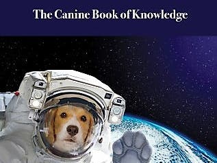 Salem author and animal acupuncturist Jeanie Mossa: “It's a book for dog owners who perhaps want to know more about alternative medicine. It’s not a substitute for veterinary care. It’s almost like a companion.”