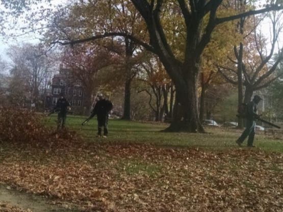 Marblehead advocates hope to join Newton (above) among the handful of state communities to restrict the use of gas-powered leaf blowers at least certain times of the year.