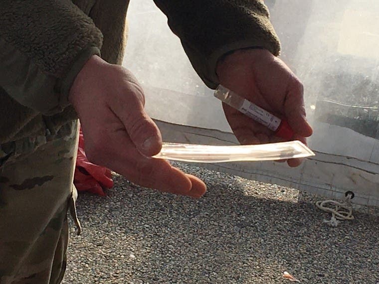 Testing is available to those 5 years old or older at Higgins Middle School. Proof of residency is required.