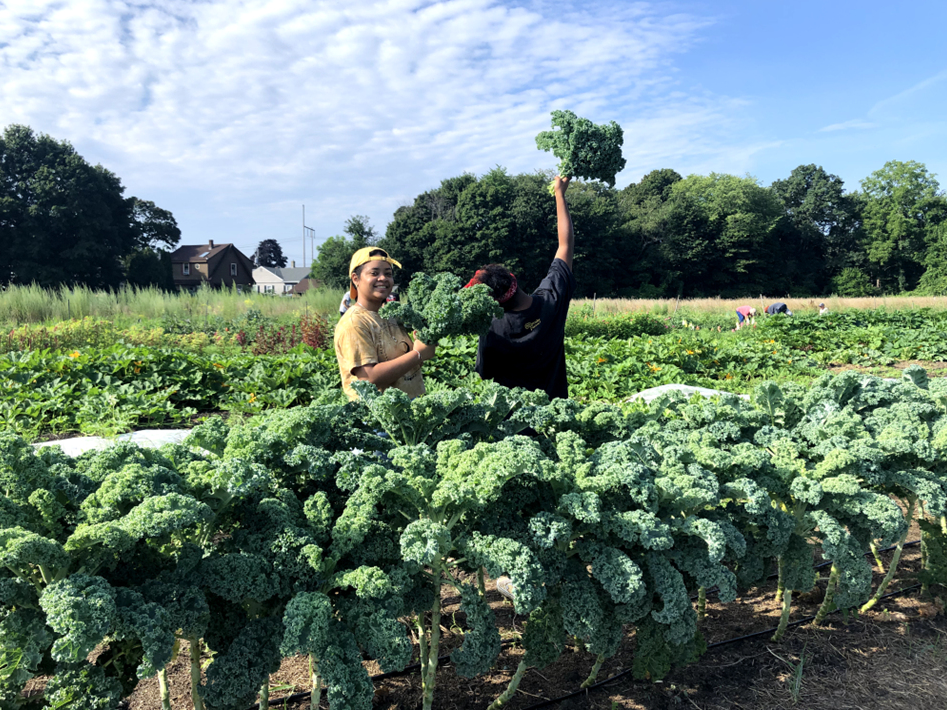 "It's to bring people together to shake loose the winter cobwebs, to celebrate the summer solstice, to simply have fun, and to raise funds for the farm and Dance for Humanity's good work."