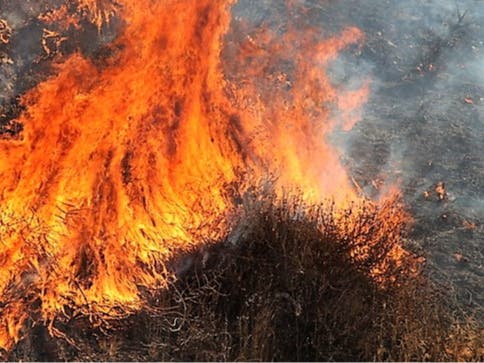 "Firefighters are digging seven to 10 feet down and still finding the ground to be extremely hot and dry as powder. Trees that are burnt out at the bottom continue to be a concern and we are watching them as many have fallen." - Lynn Fire Department