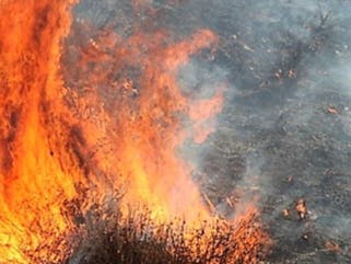 Most of Lynn Woods Reservation reopened on Friday after a week of fires burned more than 86 acres of the North Shore municipal park.