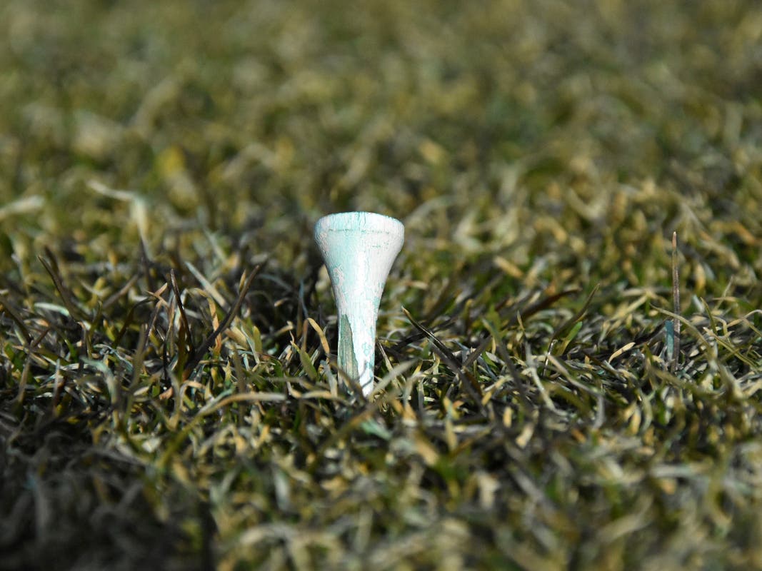 Salem Country Club and Mayer Tree Services, Inc. were each fined nearly $70,000 for unauthorized tree removal from wetlands and resource areas of the golf course last year.