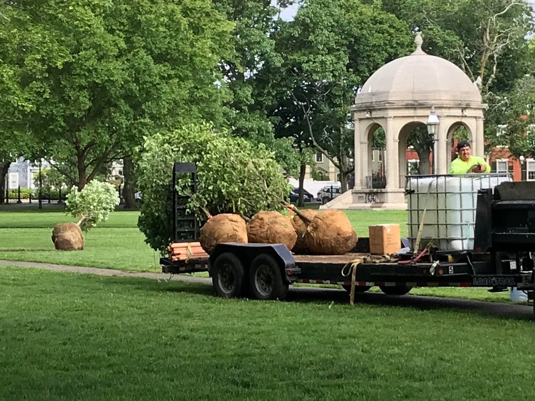 "It is a significant investment that deserves to be widely celebrated." - Friends of Salem Common President Susan Moulton