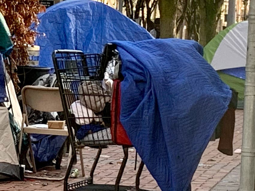 "It's all over the city. I'm sure everybody's had complaints about it — even the police department. I think it's a citywide issue that needs to be addressed." - Salem City Councilor Cindy Jerzylo