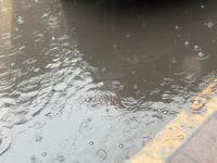 2 Days Of Soaking Rain Across MA Before Big Weekend Warmup: See Timeline