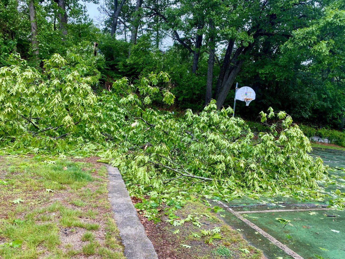 There were widespread reports of tree damage across the state, with the Massachusetts Emergency Management Agency reporting 34,228 customers without power as of 11:20 a.m.