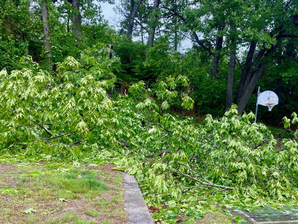 Severe Storm Threat For MA To Bring Heavy Rain, Damaging Winds: See Latest Forecast