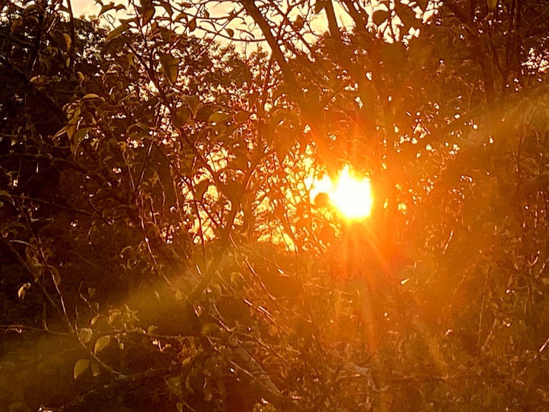'Extreme' Heat Will Feel Like 110+ Degrees, Bring Severe Storm Risk To MA: See Latest Forecast