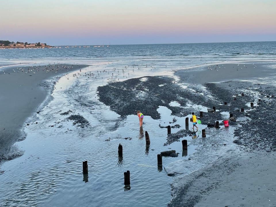 Swampscott's King's Beach, as well as King's Beach locations in Lynn, were added to the state notification page for closures on Friday.