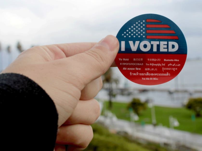 Legal Pot Sales Repeal, State Primary Reform Among 9 MA Ballot Questions This Fall
