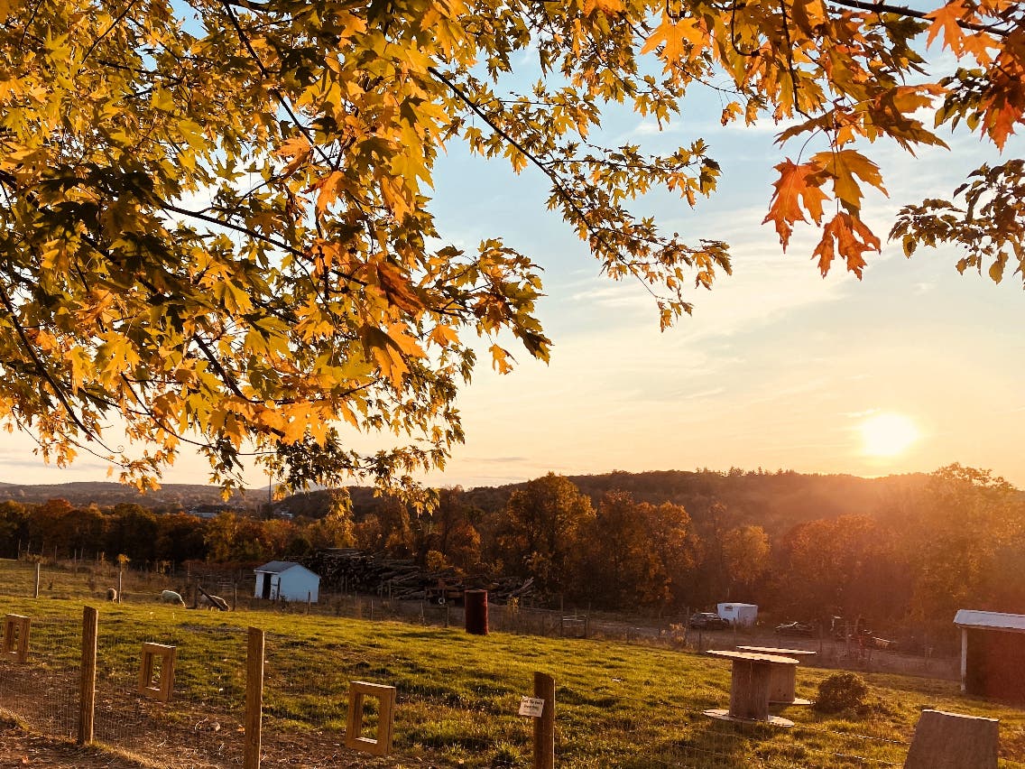 The Northeast, including all of Massachusetts, has a 33 to 40
percent chance of above-normal temperatures in September, October and
November.