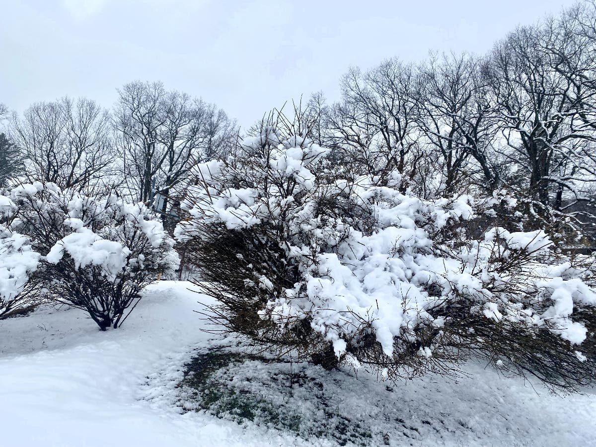 Snow potential this winter will likely depend more on margins between rain and snow rather than enhanced snowfall from storms accompanied by Arctic cold.