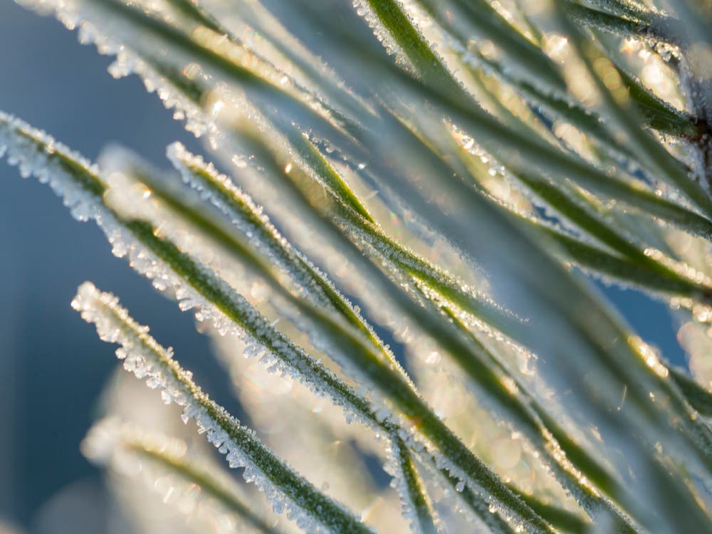 Taste Of Summer Precedes Early Frost Potential For MA: See Latest Forecast