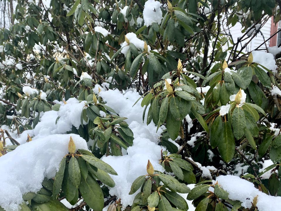 Warmer temperatures do not necessarily mean a lack of snowfall. Instead, storms will likely be more borderline between rain and snow than the frigid storms that in recent years brought a "fluff factor" of heavy snow to New England.