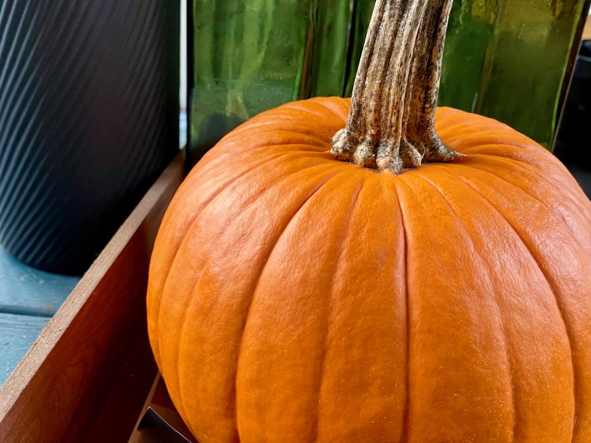 Residents can bring pumpkins and gourds, whether carved or whole, to the front driveway of the library from 3 p.m. to 6 p.m.