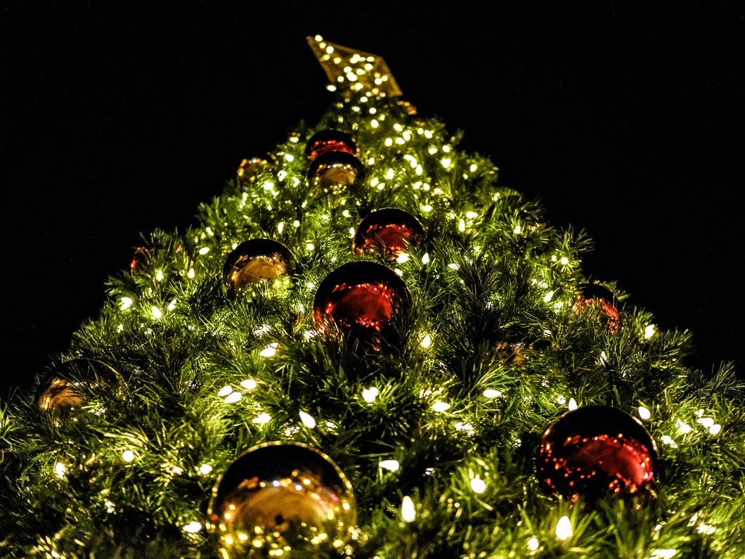 Danvers Historical Society Gets NECB Backing for 2026 Parade of Trees