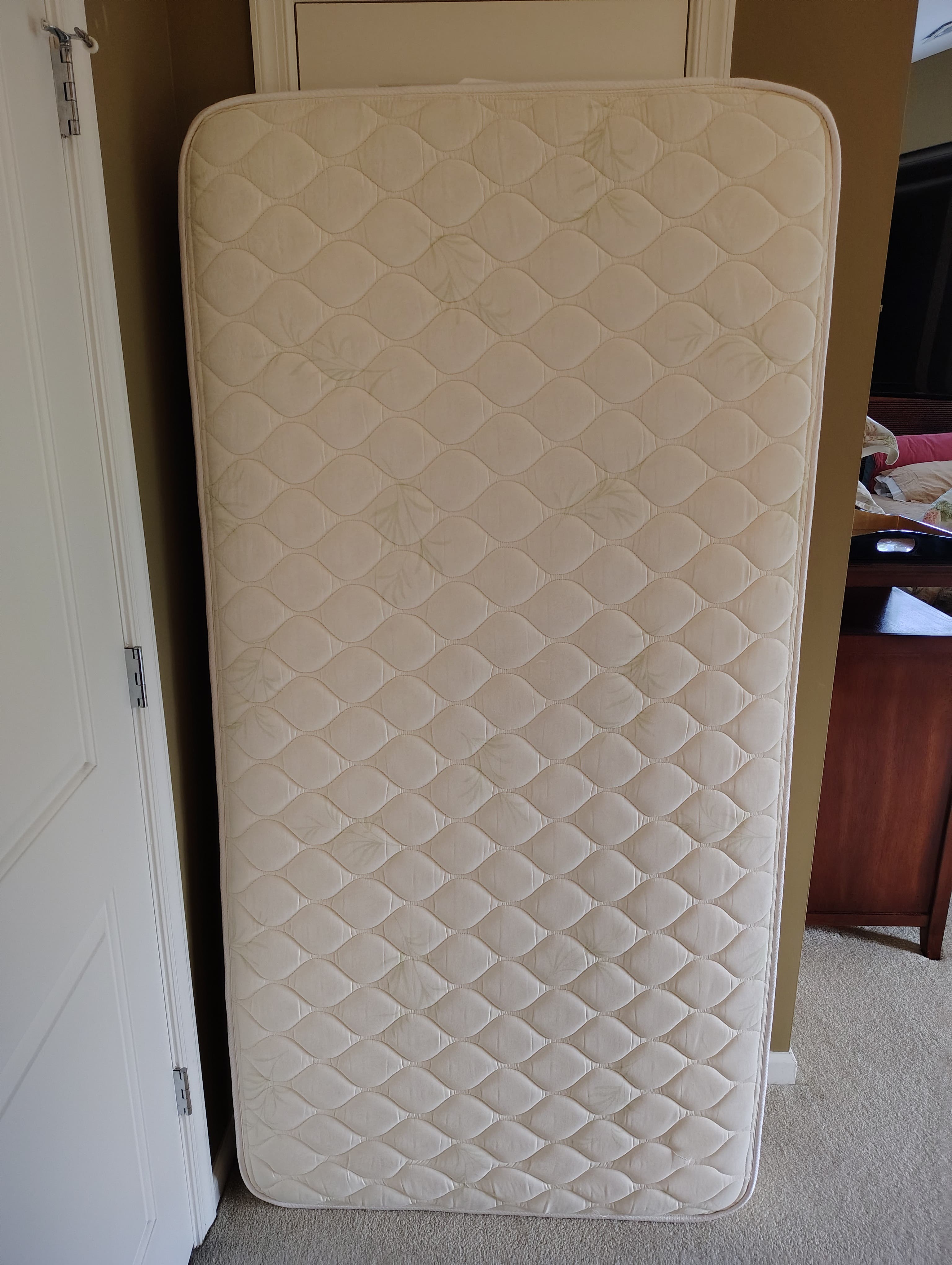 Twin Mattress