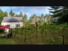 The Outdoor Tasting room at Averill House Vineyard is a safe and comfortable way to share time with friends, family and loved ones. Wine Tastings can be inside or out. 