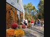 Fall Tour at Averill House Vineyard