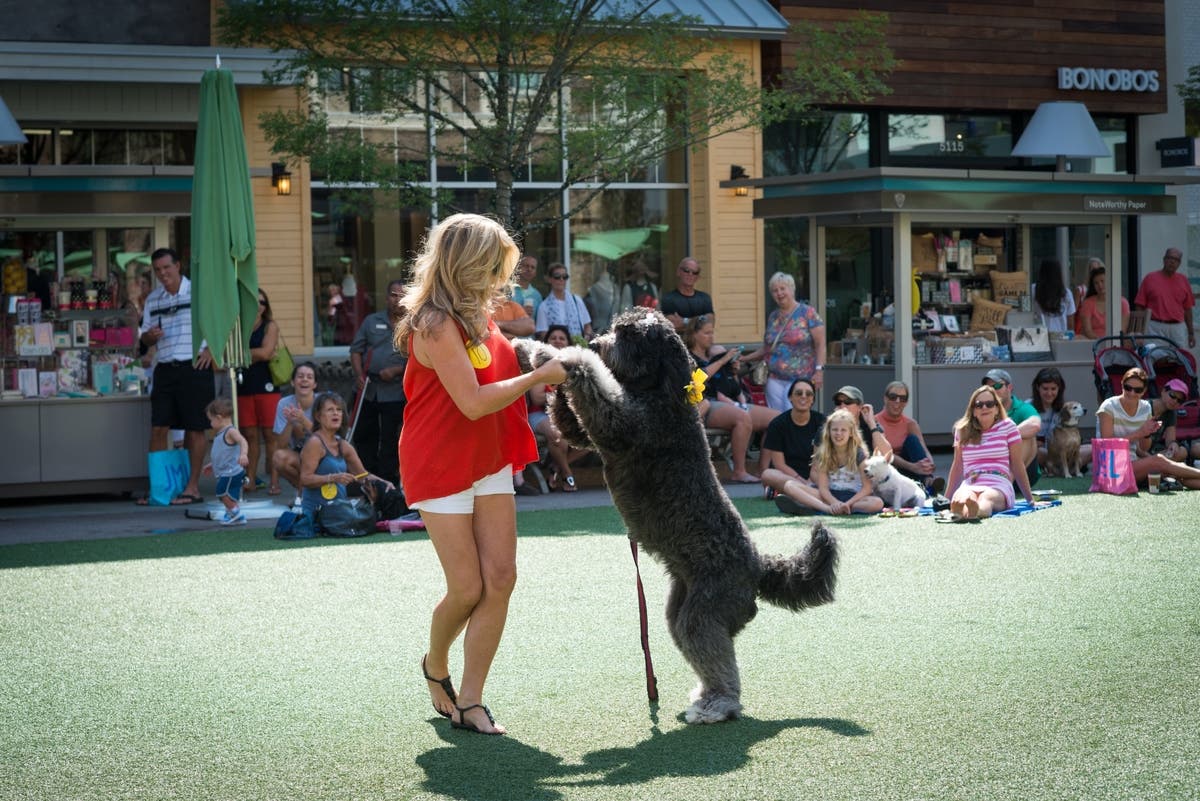 The canine talent show will benefit Children’s Canines for Kids where trained pups provide comfort to sick kids.