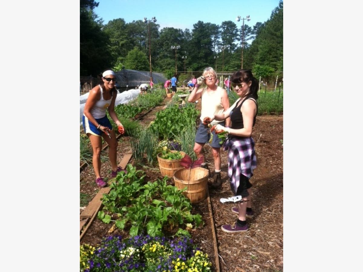 CNC partners up with the Roswell Fine Arts Alliance to present local painters creating art throughout the grounds.