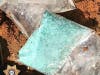 Forsyth Sheriff's deputies found methamphetamine in the septic tank.