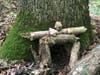 For Analise Black's Gold Award, she is creating a fairy trail for children and their families to hike on.