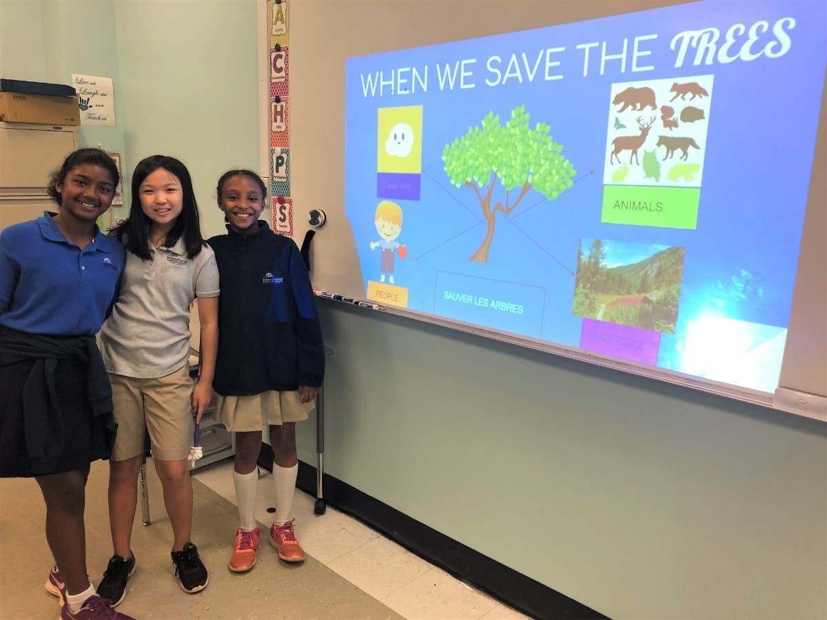 The IB Primary Years Programme is a curriculum framework that incorporates local and global issues into the curriculum.