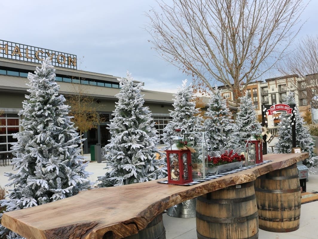 Halcyon has unveiled its Holiday Celebration lineup for the month of December, featuring special experiences the whole family will enjoy.